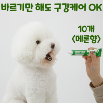 펫생각 하루치카 덴탈클린 강아지 치석제거 발라만 주는 치약 3종 천연 효소 딸기향 메론향, 10개, 메론