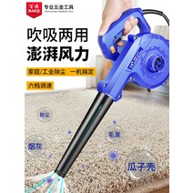 송풍기 무선송풍기 풍로 220v 강력한 고전력 소형 가정용 휴대용 먼지 청소 집진기 산업용 헤어 드라이어, [09] 리튬 배터리 송풍기: 4.5Ah [상위 구성]