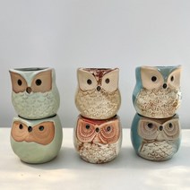복 부엉이 다육이 6P 세트 화분, 부엉이 6p 화분만 식물불포함