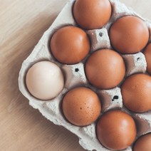 일상감동 함평 나비 구운란 훈제란 숯계란 편의점 구운계란 중란, 35g, 60구