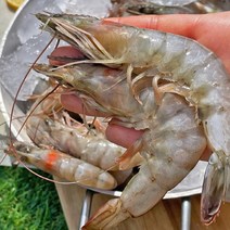 국내산 냉동 흰다리 새우 1kg, 없음