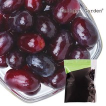 [딜라잇가든]냉동과일 적포도1kg, 1개