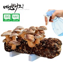 [보섭이네푸드]자연과사람 표고버섯 배지