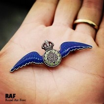 RAF 영국 제국 왕실 공군 파일럿 군사 배지 금속 황동 장교 모자 장식 브로치 핀, [04] No 2