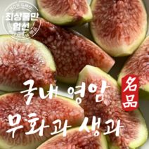 국내산 영암 햇무화과 무화과 생과 1.2kg(2팩), 2개