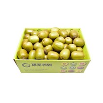 [삼다몰] 제주 레드키위 벌크 5kg, 상세 설명 참조