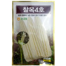 흰찰옥수수씨앗 30g/35g/40g/찰옥4호 찰옥수수종자, 40g