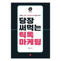 이은북 당장 써먹는 틱톡 마케팅 (마스크제공), 단품, 단품