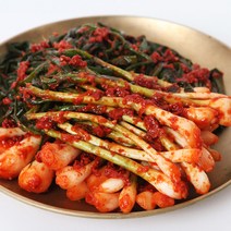 100% 국산 맛있는 전라도 파김치 1kg 쪽파김치 싸다구 김치