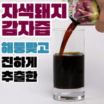 팜티비 진하게 추출한 자색 돼지감자즙 엑기스 진액, 60개