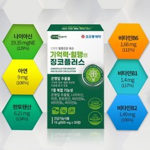 은행잎추출물 기억력 개선 혈행개선 도움 징코 혈행건강 개선 두뇌 건강 습관 나이아신 아연 판토텐산, 2개월분(60캡슐)