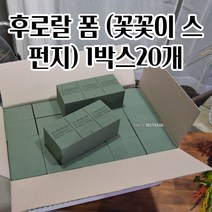 꽃꽂이 스펀지 X 20개 오아시스 이코노미 꽃꽂이 폼 플로랄 플로럴 화훼장식기능사