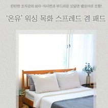 인휴 온유 워싱 목화 스프레드 겸 패드 퀸
