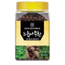 생생드림 느릅나무환 국산, 250g, 1개