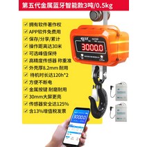 전자크레인 고리저울 스프링 걸이형 계량기 고정밀 톤백저울 기중기 무선 산업용, O 5세대  3톤/0.5kg