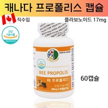 프로폴리스 플라보노이드 비프로폴리스 원액 캡슐 구강 항산화 식품 영양제 식약처 기능성 인증 캐나다산 추천, 1개, 60캡슐(2개월분)