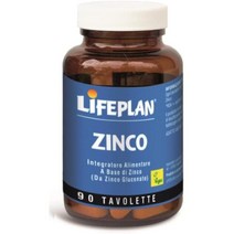 독일직구 PromoPharma Life Plan 징크 나룽세르겐중스미텔 90 태블릿텐, 수량, 상세참조