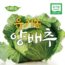 [초록한입] 국내산 유기농 양배추 2kg