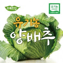 국내산 양배추 유기농특별할인, 2kg, 1개