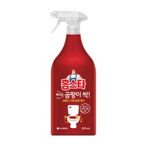 홈스타 뿌리는 곰팡이 싹 세정제, 500ml, 10개