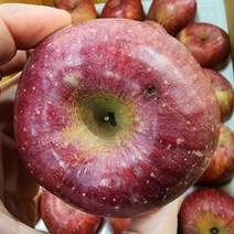 더프루츠 산지직송 껍질째먹는 가정용 흠집 흠과 못난이 상처 사과 흠사과 기스사과 주스용, 대과 9kg, 1개