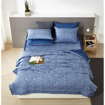 클푸 [클푸]알러지케어 알파 간절기 차렵이불 Q