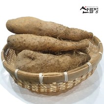 안동마 참마 마사토 산마 5kg 3kg [산지직송] 마 안동참마 생마 / 산들정, 1box, 07. 안동 산마 5kg (상)