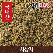 착한약초 국내산 몸에좋은약초 150종, 1A0E_국산 사상자 600g, 1개
