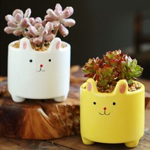 컬러 토끼 미니 화분(공화분) 작은 꽃화분, 흰색