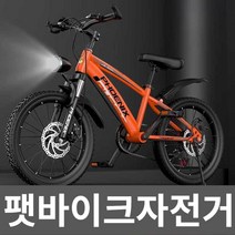 팻바이크자전거 클래식 전기 엠티비 18 20 22인치, 상세 페이지 참고, 21. 핑크 스포크휠+단속 20인치