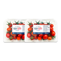 [전라신선] 전라도 60개 농가 최상급 고당도 스테비아 토마토 1kg