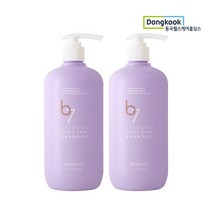 실리콘무첨가 스칼프케어 헤어 샴푸 500ml 2개, 없음