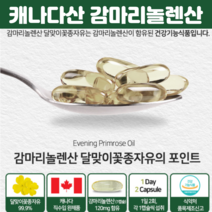 감마 리놀렌산 달맞이꽃종자유 캐나다 혈행개선 도움 감 마리 노렌 산 달맞이 종자유 달 마지 꽃 추출물 월경 달마지꽃유 60 캡슐, 60캡슐 X 2개