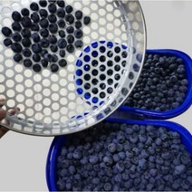 블루베리선별기 스테인레스 크기 과일망 수동 판, 10mm