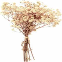 부케돔 미니 건조 아기 숨결 아이보리 흰색 꽃다발 헤어 웨딩 테이블 홈 크리스마스 가을, 7.Ivory white - 40g