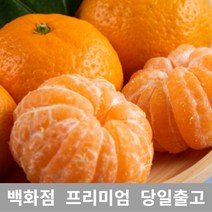 [특등급선별] 감귤 2.5kg 타이벡감귤 타이백감귤 제주귤 효돈감귤 불로초감귤 노지귤 제주도귤 금귤 노지감귤 조생귤 서귀포감귤 무농약귤 유기농귤 고당도귤 제주노지감귤 금귤정과