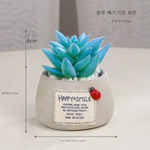 Stevevivian 즙이 많은 식물의 북유럽 미니 시뮬레이션 화분에 거실 사무실 데스크톱 녹색 식물 장식 미세 랜드 스케이프 장식 분재, 블루 베르가 모티아