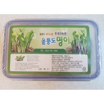 후계자농원 청정 울릉도 자연산 산마늘 명이나물 절임나물 장아찌 1kg, 울릉도명이 500g(진공팩) 2개