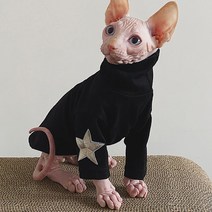 털이없는 고양이 옷 별 Bottoming 셔츠 Sphinx Devon Rex cotton Oufits 애완 동물 의상 가을 겨울베이스 Sphynx cat clothes, [05] XL, 05 XL