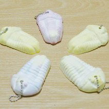 삼엽충 화석 석고방향제 (5인) 수업재료 초등 과학 방과후 창작