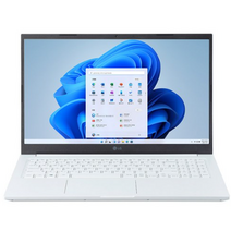 LG 울트라PC IPS FHD, 화이트, 코어i5, 512GB, 8GB, WIN11 Home, 15U50R-GR5CK