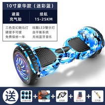 투휠 전동 호버보드 1인용 전기 두발 전동휠 스탠딩 성인 대리기사 출퇴근 보드 배터리, 36V, 10인치 카모플라쥬 블루