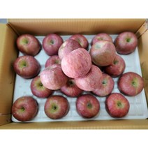 경북풍기산사과10kg34과