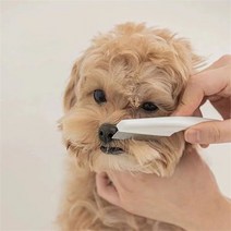 애완 동물 벼룩 진드기 제거제 개 고양이 여러 가지 빛깔의 스테인레스 스틸 컴포트 헤어 손질 빗 보호 벼룩 이가 제거 헤어 클리너 빗, l, 푸른