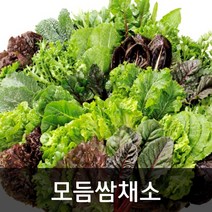 약수농장 모듬쌈채소 2kg, 1박스