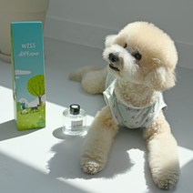 위스펫 반려동물 강아지 고양이 천연 아로마 디퓨저 선물 실내방향제 120ml 단품+발향스틱, 로즈우드, 발향스틱(5개)