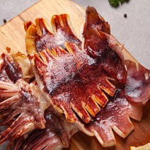 반건조오징어 5마리 10마리 건오징어 포항 영덕 국내가공, 소자5마리(350g내외)