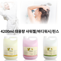 아르간 대용량 샴푸 린스 바디워시 리필 대형 4200ml 미용실 숙박업소 대용량 샴푸 샤워젤 린스 컨디셔너 (펌프별매), 선택없음