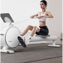 로잉 머신 홈 트레이닝 조정기구 노젓기 전신운동기계, A(옵션문의)