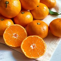 명품 제주 감귤 고당도 최상급 귤 타이벡 밀감 로얄과(S) 5kg 1박스 [노블프레쉬], 감귤 로얄과(S) 5kg